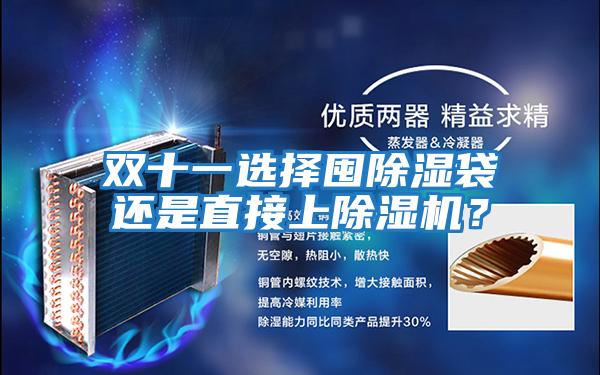 雙十一選擇囤除濕袋還是直接上除濕機？