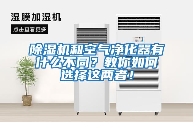 除濕機和空氣凈化器有什么不同？教你如何選擇這兩者！