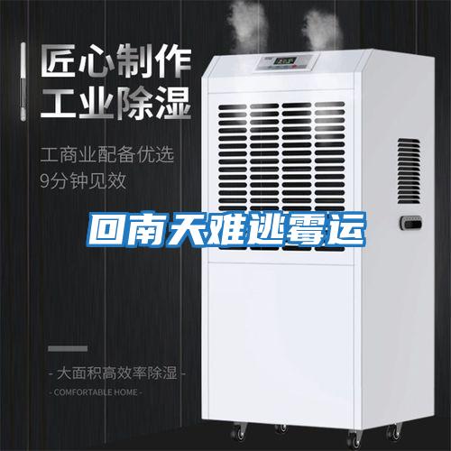 回南天難逃霉運
