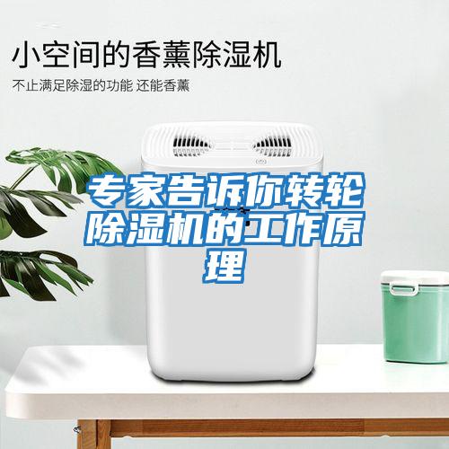 專家告訴你轉輪除濕機的工作原理