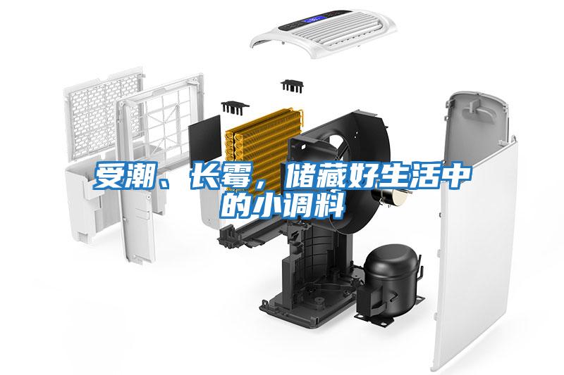 受潮、長霉，儲藏好生活中的小調料