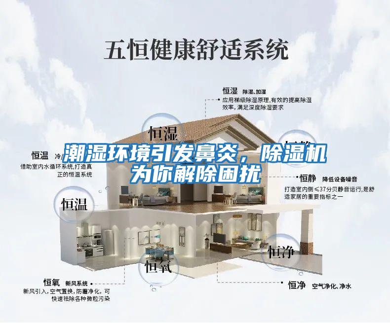 潮濕環境引發鼻炎,除濕機為你解除困擾