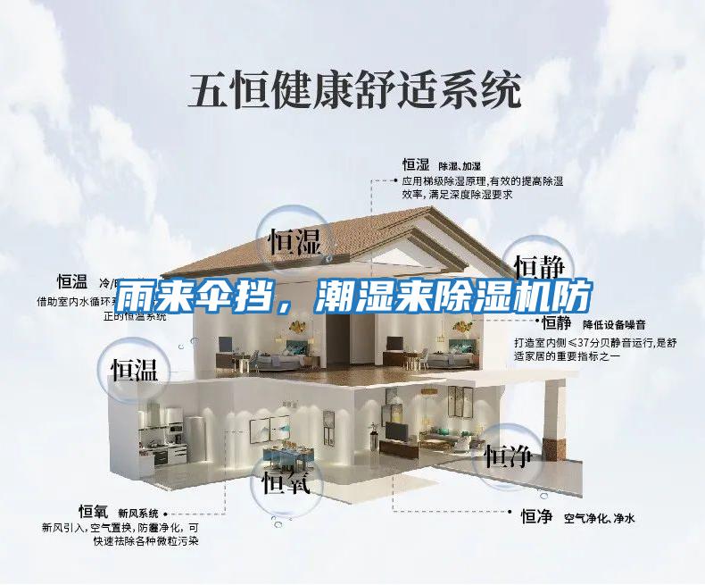 雨來傘擋，潮濕來除濕機防