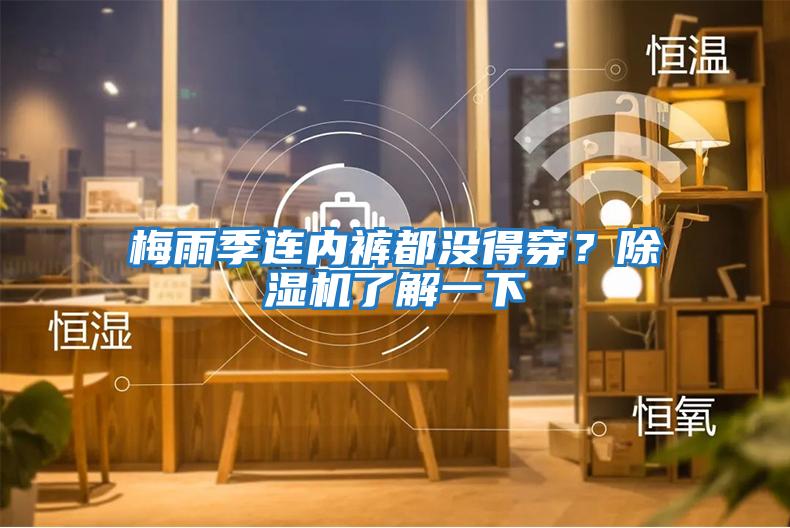 梅雨季連內褲都沒得穿?除濕機了解一下