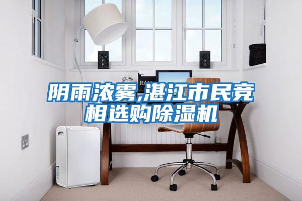 陰雨濃霧,湛江市民競(jìng)相選購(gòu)除濕機(jī)