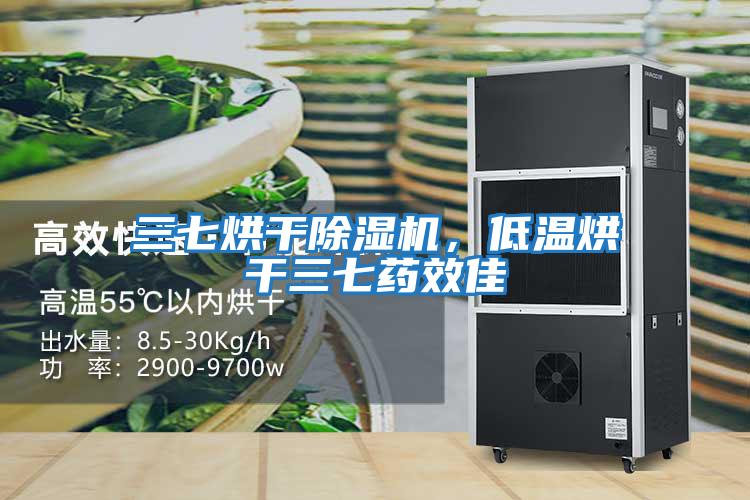 三七烘干除濕機，低溫烘干三七藥效佳