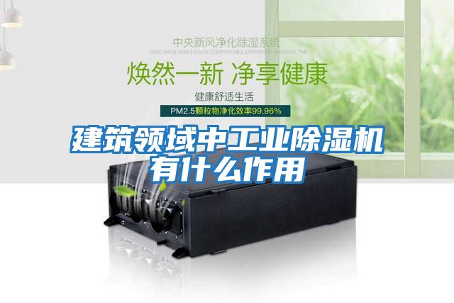 建筑領域中工業除濕機有什么作用