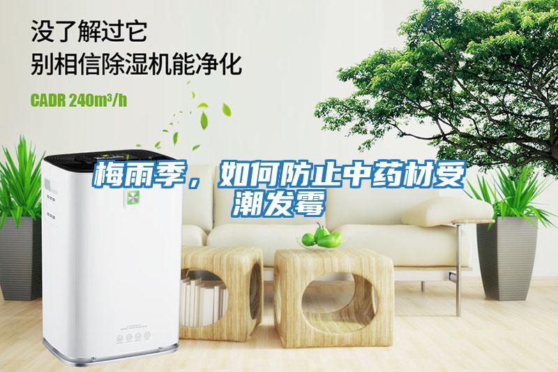 梅雨季，如何防止中藥材受潮發霉
