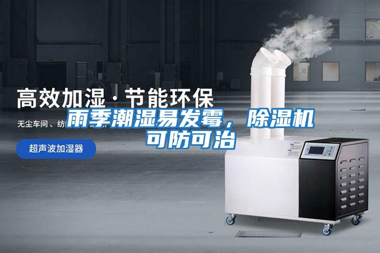 雨季潮濕易發霉,除濕機可防可治