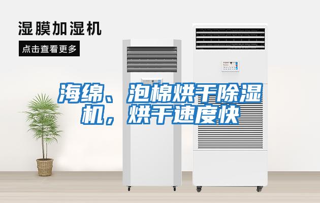 海綿、泡棉烘干除濕機(jī),烘干速度快