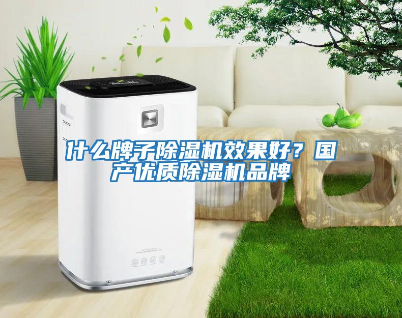 什么牌子除濕機效果好?國產優(yōu)質除濕機品牌