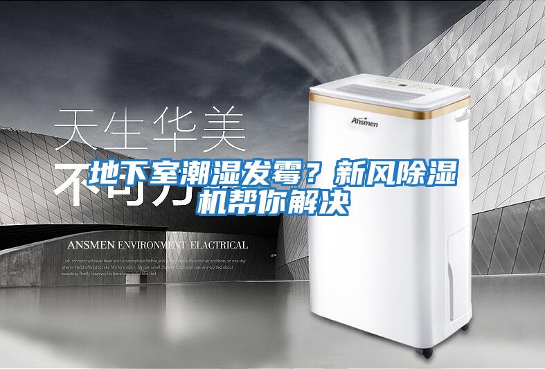 地下室潮濕發(fā)霉？新風除濕機幫你解決