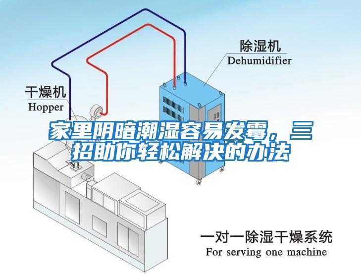 家里陰暗潮濕容易發霉，三招助你輕松解決的辦法