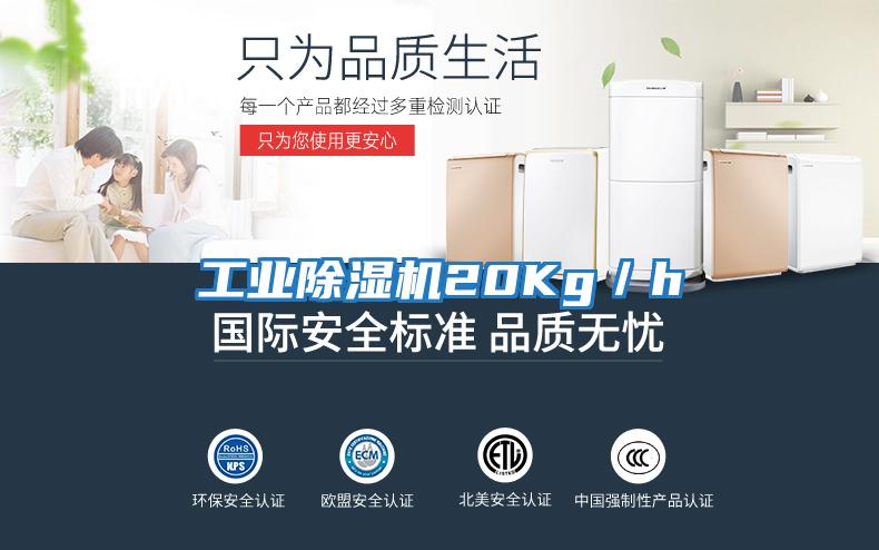 工業(yè)除濕機(jī)20Kg/h