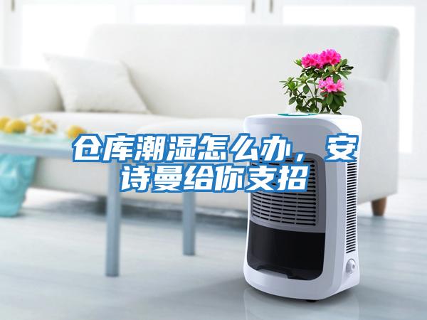 倉庫潮濕怎么辦，安詩曼給你支招