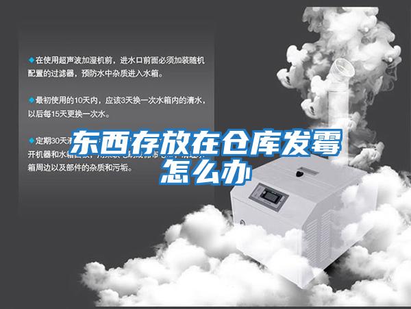 東西存放在倉庫發霉怎么辦