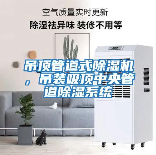 吊頂管道式除濕機(jī)，吊裝吸頂中央管道除濕系統(tǒng)