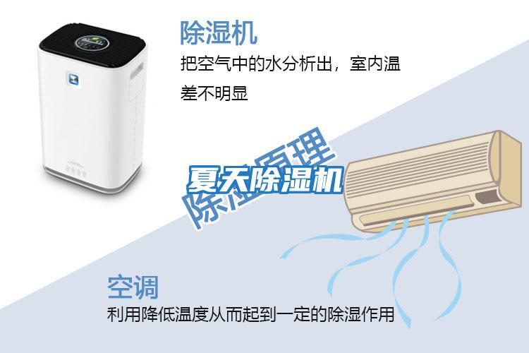夏天除濕機
