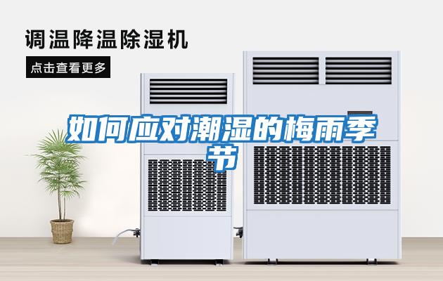 如何應對潮濕的梅雨季節