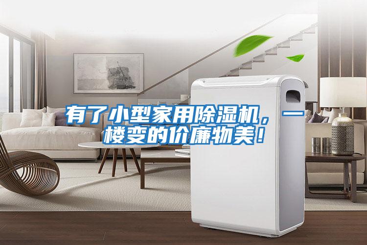 有了小型家用除濕機，一樓變的價廉物美！