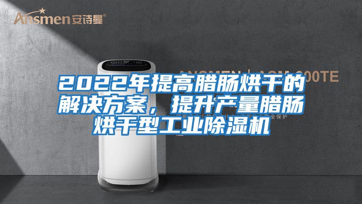 2022年提高臘腸烘干的解決方案，提升產量臘腸烘干型工業除濕機