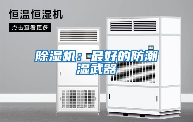 除濕機(jī):最好的防潮濕武器