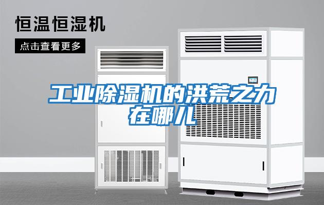 工業除濕機的洪荒之力在哪兒