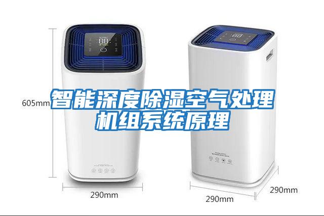 智能深度除濕空氣處理機(jī)組系統(tǒng)原理