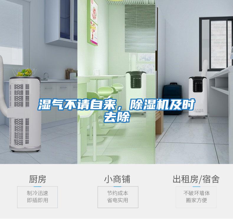 濕氣不請自來,除濕機及時去除