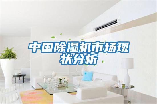 中國(guó)除濕機(jī)市場(chǎng)現(xiàn)狀分析