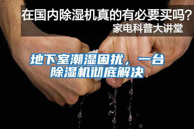 地下室潮濕困擾，一臺除濕機徹底解決