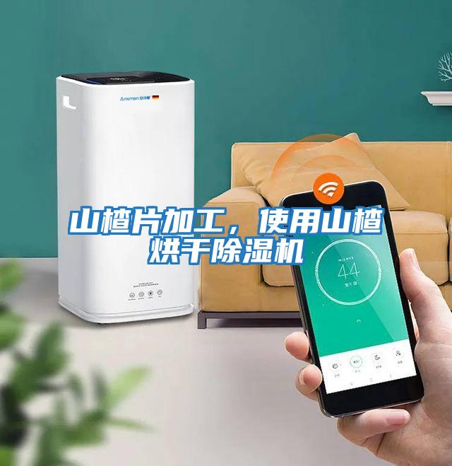 山楂片加工，使用山楂烘干除濕機