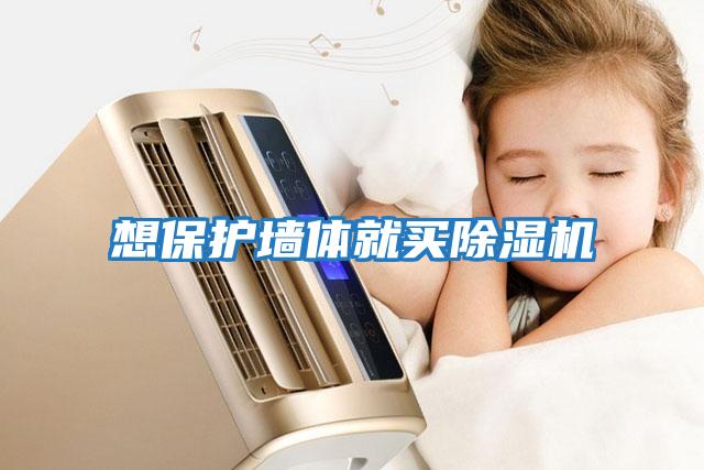 想保護墻體就買除濕機