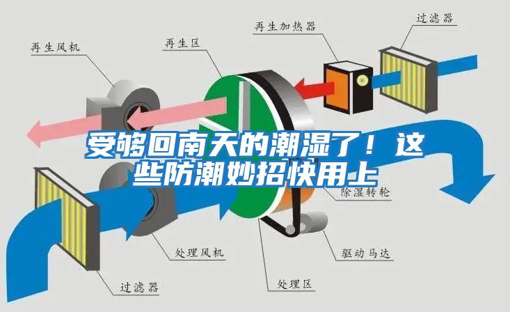 受夠回南天的潮濕了!這些防潮妙招快用上