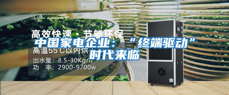 中國家電企業：“終端驅動”時代來臨