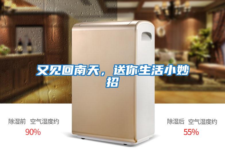 又見(jiàn)回南天，送你生活小妙招