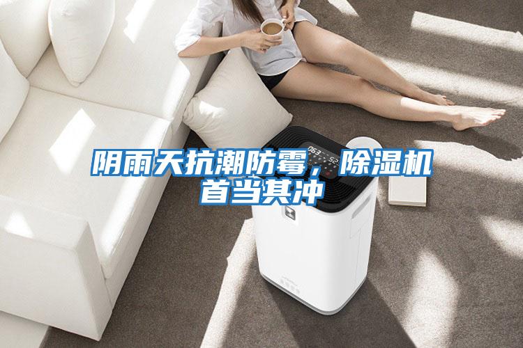 陰雨天抗潮防霉，除濕機首當其沖