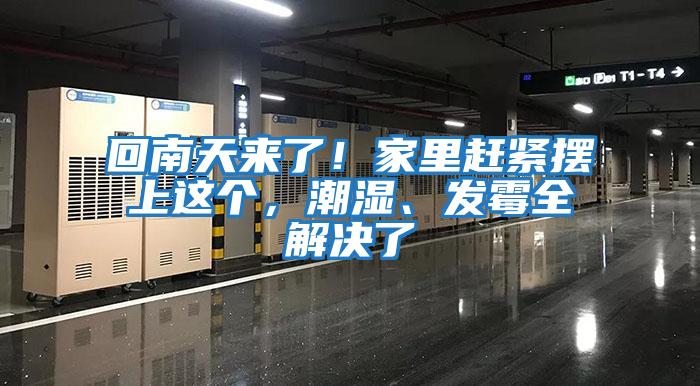 回南天來了！家里趕緊擺上這個，潮濕、發霉全解決了