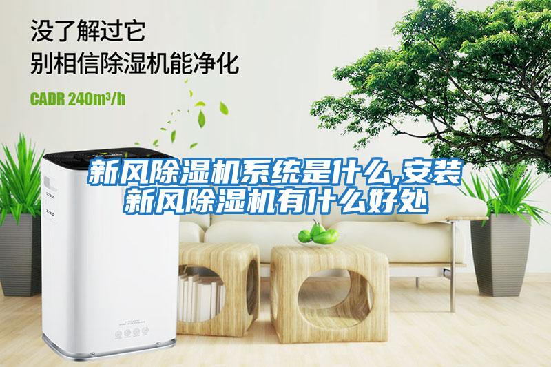 新風除濕機系統是什么,安裝新風除濕機有什么好處