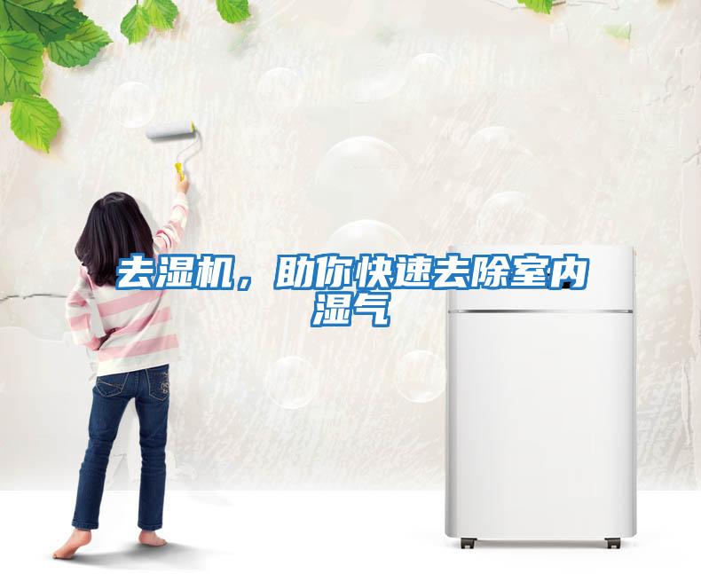 去濕機,助你快速去除室內濕氣