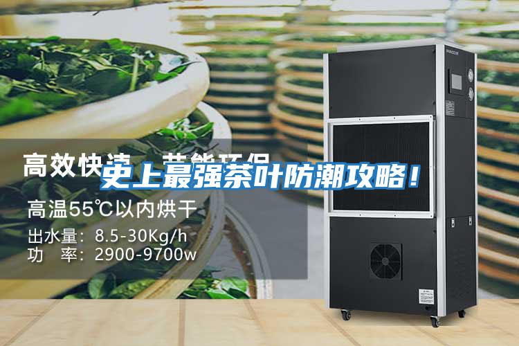 史上最強茶葉防潮攻略!