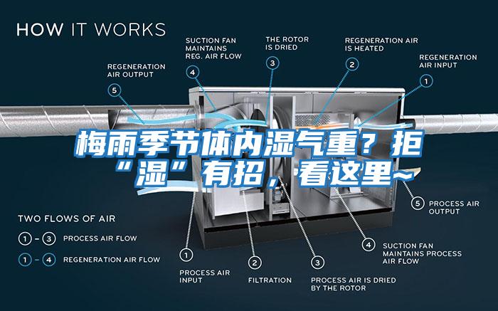 梅雨季節體內濕氣重？拒“濕”有招，看這里~