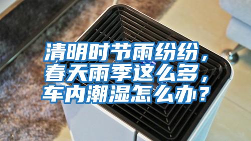 清明時節雨紛紛，春天雨季這么多，車內潮濕怎么辦？