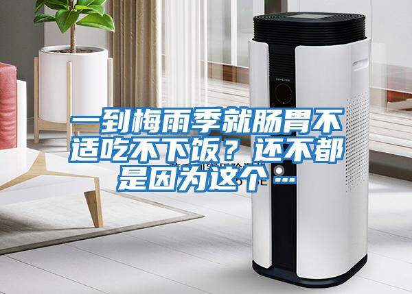 一到梅雨季就腸胃不適吃不下飯?還不都是因為這個…
