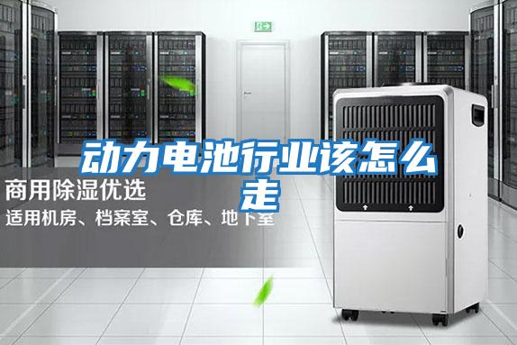 動力電池行業該怎么走