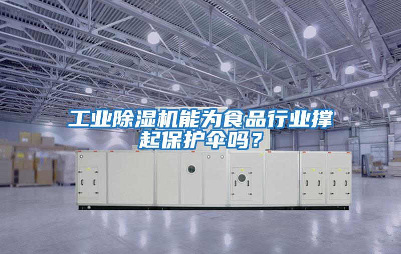 工業除濕機能為食品行業撐起保護傘嗎？