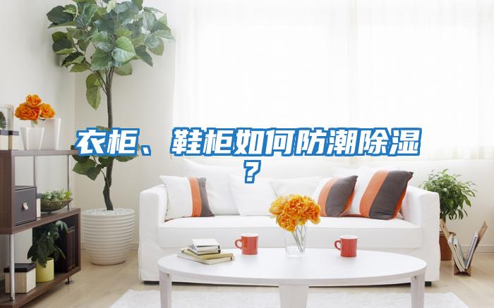 衣柜、鞋柜如何防潮除濕？