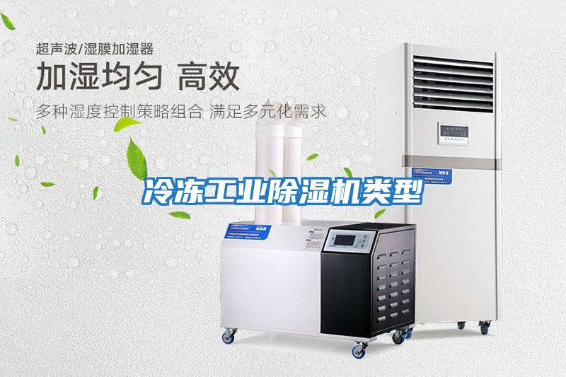 冷凍工業除濕機類型