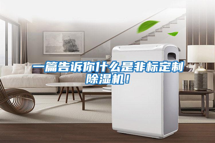 一篇告訴你什么是非標定制除濕機！
