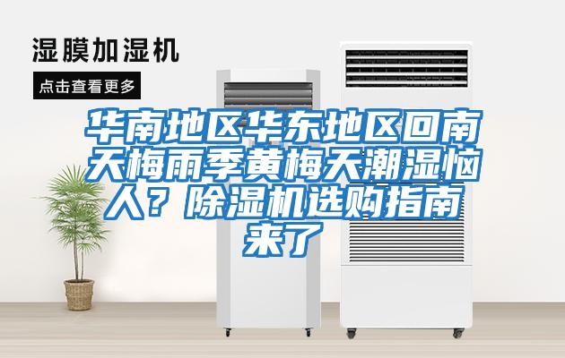 華南地區華東地區回南天梅雨季黃梅天潮濕惱人？除濕機選購指南來了